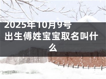2025年10月9号出生傅姓宝宝取名叫什么