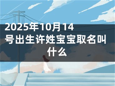 2025年10月14号出生许姓宝宝取名叫什么