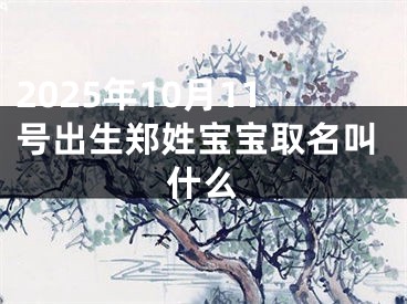 2025年10月11号出生郑姓宝宝取名叫什么