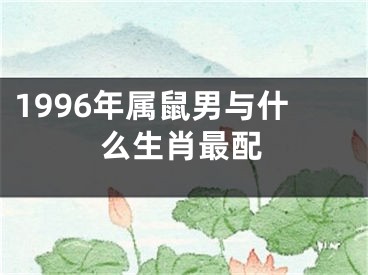 1996年属鼠男与什么生肖最配