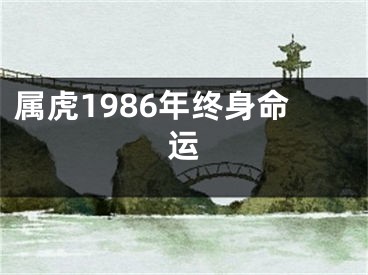 属虎1986年终身命运