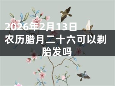 2026年2月13日农历腊月二十六可以剃胎发吗