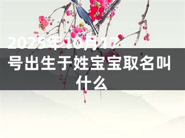 2025年10月17号出生于姓宝宝取名叫什么