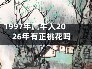 1997年属牛人2026年有正桃花吗