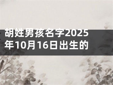 胡姓男孩名字2025年10月16日出生的