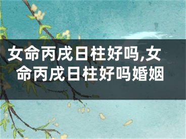 女命丙戌日柱好吗,女命丙戌日柱好吗婚姻