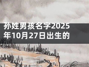 孙姓男孩名字2025年10月27日出生的