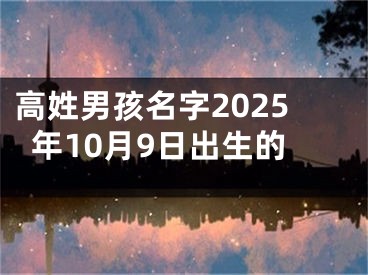 高姓男孩名字2025年10月9日出生的