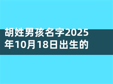 胡姓男孩名字2025年10月18日出生的