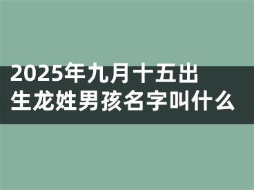 2025年九月十五出生龙姓男孩名字叫什么