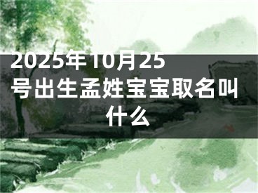 2025年10月25号出生孟姓宝宝取名叫什么