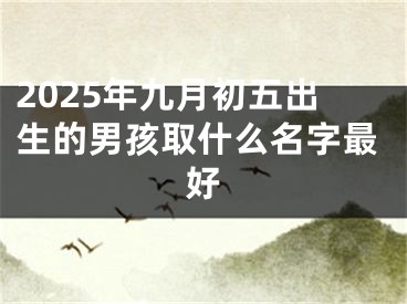 2025年九月初五出生的男孩取什么名字最好