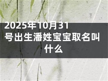 2025年10月31号出生潘姓宝宝取名叫什么