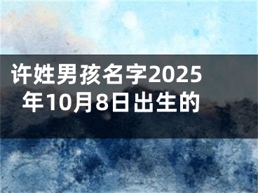 许姓男孩名字2025年10月8日出生的