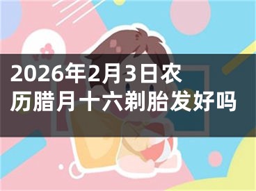 2026年2月3日农历腊月十六剃胎发好吗
