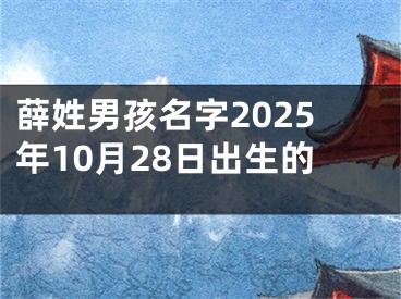 薛姓男孩名字2025年10月28日出生的