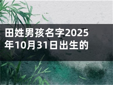 田姓男孩名字2025年10月31日出生的