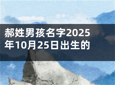 郝姓男孩名字2025年10月25日出生的