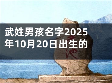 武姓男孩名字2025年10月20日出生的