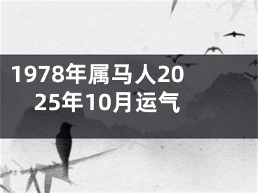 1978年属马人2025年10月运气