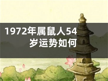 1972年属鼠人54岁运势如何