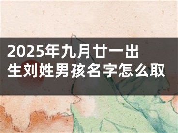 2025年九月廿一出生刘姓男孩名字怎么取
