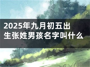 2025年九月初五出生张姓男孩名字叫什么