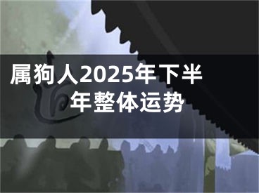 属狗人2025年下半年整体运势