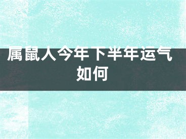属鼠人今年下半年运气如何