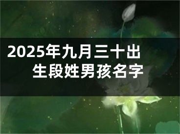 2025年九月三十出生段姓男孩名字