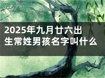 2025年九月廿六出生常姓男孩名字叫什么