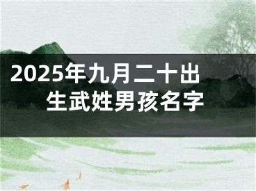 2025年九月二十出生武姓男孩名字