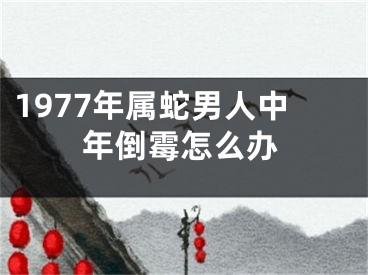 1977年属蛇男人中年倒霉怎么办