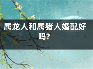 属龙人和属猪人婚配好吗?
