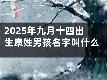 2025年九月十四出生康姓男孩名字叫什么