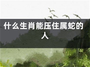 什么生肖能压住属蛇的人