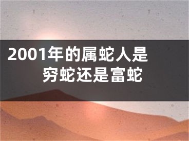 2001年的属蛇人是穷蛇还是富蛇
