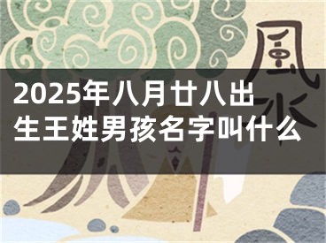 2025年八月廿八出生王姓男孩名字叫什么
