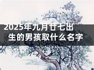 2025年九月廿七出生的男孩取什么名字