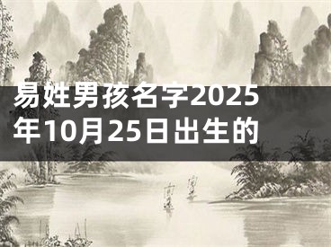 易姓男孩名字2025年10月25日出生的