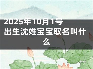 2025年10月1号出生沈姓宝宝取名叫什么