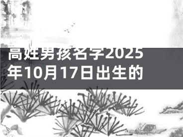 高姓男孩名字2025年10月17日出生的