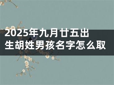 2025年九月廿五出生胡姓男孩名字怎么取