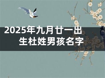 2025年九月廿一出生杜姓男孩名字