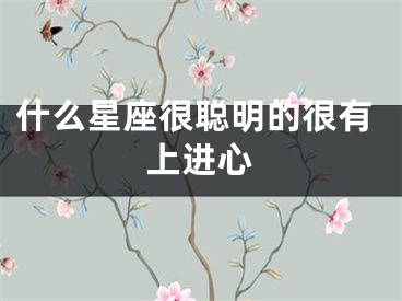 什么星座很聪明的很有上进心