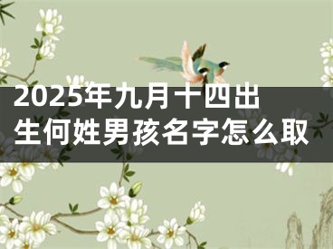 2025年九月十四出生何姓男孩名字怎么取