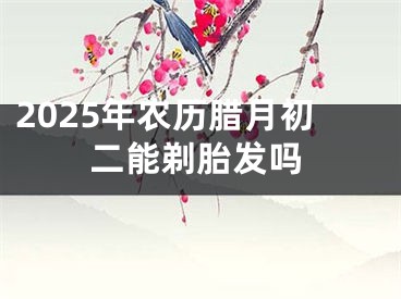 2025年农历腊月初二能剃胎发吗