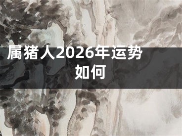 属猪人2026年运势如何
