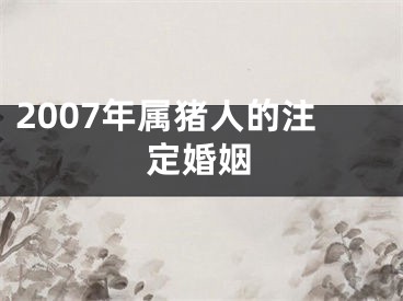 2007年属猪人的注定婚姻