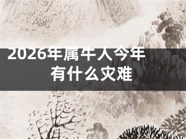 2026年属牛人今年有什么灾难